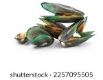 Green Shell Mussels Isolated On ...
