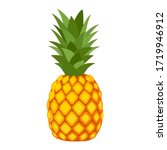 Pineapple. Illustration Of...