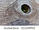 A Hole In A Wooden