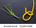 gold color rope cable with... | Shutterstock . vector #216831688