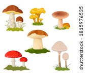 Forest Mushrooms Collection....