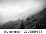 Small photo of A grayscale shot of fog covering the forest in the Appalachia Mountains