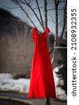A vertical shot of a red dress hanging from a branch of a tree