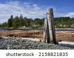 Small photo of The logs in log booms tied in bundles to swifter logs and pilings with the log sort and trees Jordan River, Vancouver Island, Canada