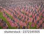 An American Flags at a memorial day event for fallen military service personnel