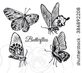 ink hand drawn butterflies... | Shutterstock .eps vector #386892208