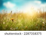 Beautiful blurred spring background nature with blooming glade, trees