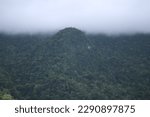 Tropical landscape. Fog in the mountains. Clouds over the jungle. Rain clouds over the top of a mountain covered with tropical rainforest.