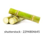 Fresh sugarcane cut into pieces. isolated on white background.