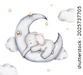 Cute Little Elephant Sleeps On...