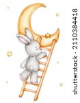 Cute Bunny On Stairs And Moon ...