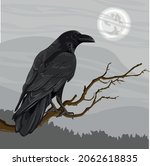 A Large Black Crow  Corvus...