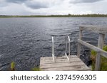 Landscape of lake and swimming ladder at Luhasoo bog in Estonia