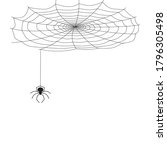 the spider weaves a web.... | Shutterstock .eps vector #1796305498