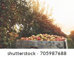 Organic Fresh Apples In A...