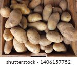 Small photo of Potato heads are foods that are highly nutritious. Can be processed into many products.
