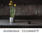 Dark grey kitchen design - detail of interior. Spring flower daffodil, narcissus and cup of coffee on island or table countertop in modern kitchen room.