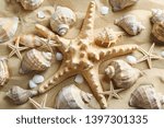 Many Seashells And Starfish On...