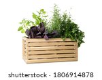 Wooden Box With Different Herbs ...