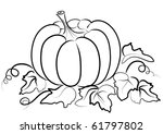 Pumpkin On White.vector Graphic ...