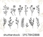 minimalistic floral botanical... | Shutterstock .eps vector #1917842888