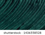 fern leaf focus selection with... | Shutterstock . vector #1436558528