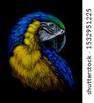 Macaw Parrot. Hand Drawn ...