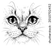 Cat. Creative Design. Graphic...