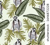 grey vector lemur with exotic... | Shutterstock .eps vector #1646872228