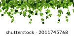 ivy plant vector frame  hanging ... | Shutterstock .eps vector #2011745768