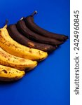 Small photo of Rotten bananas on a blue background from above. Bananas that are beginning to spoil and bananas that have already spoiled. Yellow and black spoiled bananas. Food waste. Spoiled fruits.