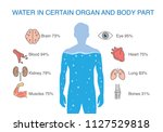 Water In Certain Organ And Body ...