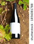 Small photo of bottle of red wine on reddish earth with pebbles vine shoots and leaves of the vineyard and lateral light of the sunset