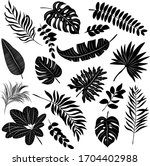palm leaves set black and white ... | Shutterstock .eps vector #1704402988