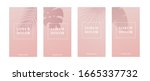 pink mobile background or... | Shutterstock .eps vector #1665337732