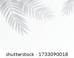 shadow effects with tropical... | Shutterstock .eps vector #1733090018