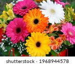bright bouquet of colorful gerberas, gypsophila, alstroemeria, greenery, close-up with a blurred background as a natural background for the designer