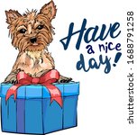 Yorkshire Terrier On A Gift Box