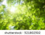 Abstract blur green foliage and tree in jungle with sun light spring summer. Farming concept on plant forest and environment day of farmer organic building sunshine on leaf herb lush soft in ecology.