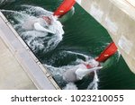 Hydroelectric Station With...