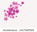 Flower Composition. Pink Frame...