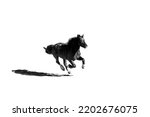 Small photo of Fine art minimal galloping black and white horse with a lot of speed and a shadow casting