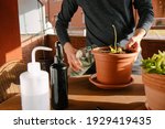 Caucasian Young Man Watering A...