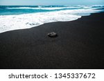 black stone on black sand beach in Lanzarote, Canary Islands, Spain