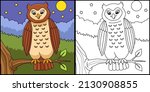 Owl Coloring Page Colored...
