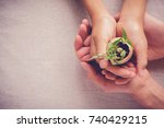 hands holding seedling in eggshells, montessori , CSR , Eco green sustainable living,zero waste, plastic free, earth day, world environment day,responsible consumption, eco emergency