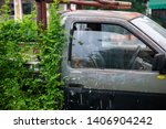Small photo of old car cover with Butterfly Pea. fresh Blue Pea bespead on broken truck. Asian pigeonwings growt on rusted car. Clitoria Ternatea or Blue herbal tea overspread parking car