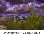 THE SANTA CATALINA MOUNTAIN RANGE NEAR TUSCON ARIZONA WITH STORM CLOUDS MOVING IN AND CASTUS IN THE BLURRY FOREGROUND