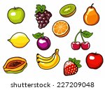 fruit set. vector illustration. | Shutterstock .eps vector #227209048