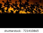 sunset and birds. birds... | Shutterstock . vector #721410865